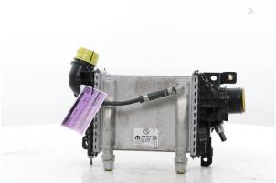 Gebruikte Intercooler Fiat Ducato (250) 2.2 D 120 Multijet 3 Prijs € 223,85 Inclusief btw aangeboden door Snuverink Autodemontage