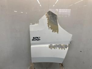 Gebruikte Scherm rechts-voor Fiat Ducato (250) 2.3 D 120 Multijet Prijs € 45,00 Margeregeling aangeboden door Snuverink Autodemontage