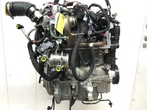 Gebruikte Motor Renault Kangoo (RK..) 1.5 Blue dCi 75 Prijs € 2.500,00 Margeregeling aangeboden door Snuverink Autodemontage