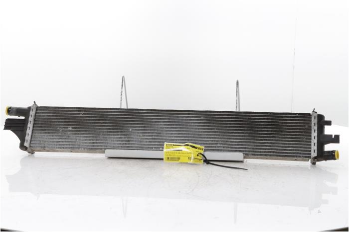 Gebruikte Radiateur Renault Master III (FV) 2.3 dCi 165 16V FWD Prijs € 78,65 Inclusief btw aangeboden door Snuverink Autodemontage