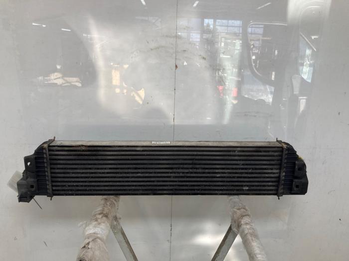 Gebruikte Intercooler Renault Master III (MA/MB/MC/MD/MH/MF/MG/MH) 2.3 dCi 16V Prijs € 181,50 Inclusief btw aangeboden door Snuverink Autodemontage