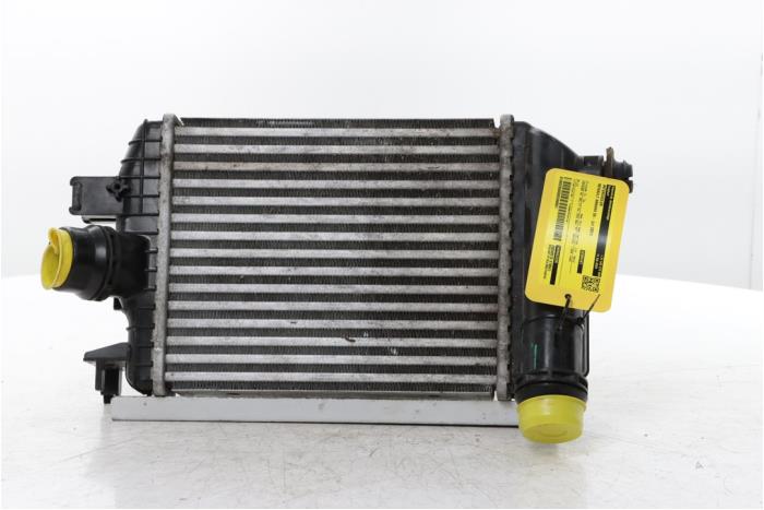 Gebruikte Intercooler Renault Arkana (RJLL) 1.3 TCe 140 16V Prijs € 175,00 Margeregeling aangeboden door Snuverink Autodemontage