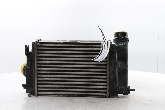 Gebruikte Intercooler Nissan Qashqai (J12) 1.3 DIG-T MHEV 16V Prijs € 95,00 Margeregeling aangeboden door Snuverink Autodemontage
