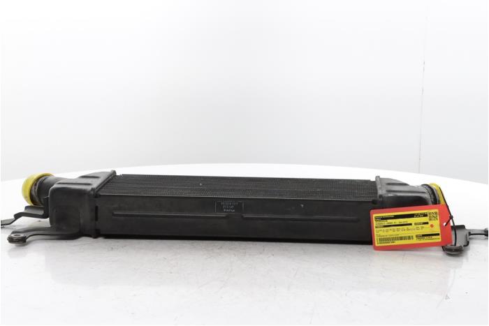 Gebruikte Intercooler Citroen C-Crosser 2.2 HDiF 16V Prijs € 115,00 Margeregeling aangeboden door Snuverink Autodemontage