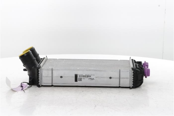 Gebruikte Intercooler Fiat Grande Panda (325) 1.2 Hybrid Prijs € 72,60 Inclusief btw aangeboden door Snuverink Autodemontage