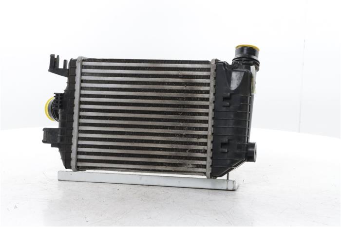 Gebruikte Intercooler Renault Arkana (RJLL) 1.3 Mild Hybrid 160 16V Prijs € 175,00 Margeregeling aangeboden door Snuverink Autodemontage