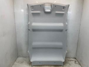 Citroen C3 Hemelbekledingen voorraad | Onderdelenlijn.nl
