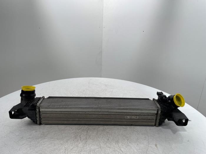 Gebruikte Intercooler BMW 1 serie (F40) 118i 1.5 TwinPower 12V Prijs € 150,00 Margeregeling aangeboden door Snuverink Autodemontage