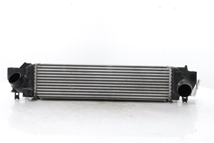 Gebruikte Intercooler BMW 1 serie (F40) 118d 2.0 16V Prijs € 150,00 Margeregeling aangeboden door Snuverink Autodemontage