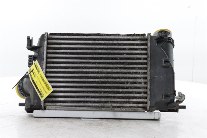 Gebruikte Intercooler Renault Megane IV Estate (RFBK) 1.2 Energy TCE 130 Prijs € 70,00 Margeregeling aangeboden door Snuverink Autodemontage