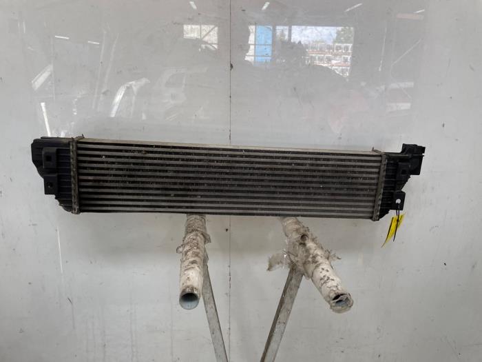 Gebruikte Intercooler Renault Master III (MA/MB/MC/MD/MH/MF/MG/MH) 2.3 dCi 135 16V FWD Prijs op aanvraag aangeboden door Snuverink Autodemontage