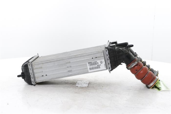 Gebruikte Intercooler Opel Crossland (X) 1.2 Turbo 12V Prijs € 90,00 Margeregeling aangeboden door Snuverink Autodemontage