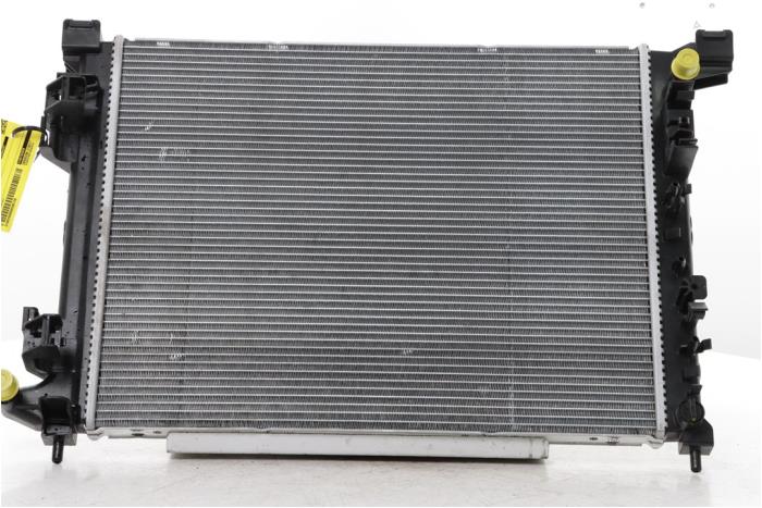Gebruikte Radiateur Renault 4 E-Tech Electric 52 kWh Prijs € 425,00 Margeregeling aangeboden door Snuverink Autodemontage