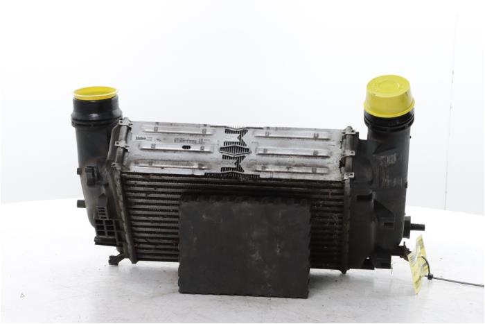 Gebruikte Intercooler Renault Espace (RFCJ) 1.6 Tce 200 Prijs op aanvraag aangeboden door Snuverink Autodemontage