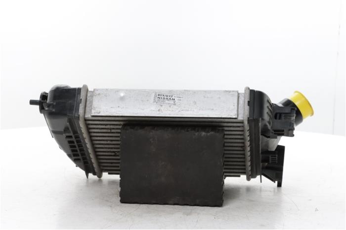 Gebruikte Intercooler Renault Clio V (RJAB) 1.0 TCe 90 12V Prijs € 95,00 Margeregeling aangeboden door Snuverink Autodemontage