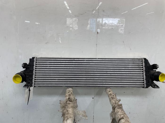 Gebruikte Intercooler Ford Focus 4 1.0 EcoBoost 12V Hybrid 125 Prijs op aanvraag aangeboden door Snuverink Autodemontage