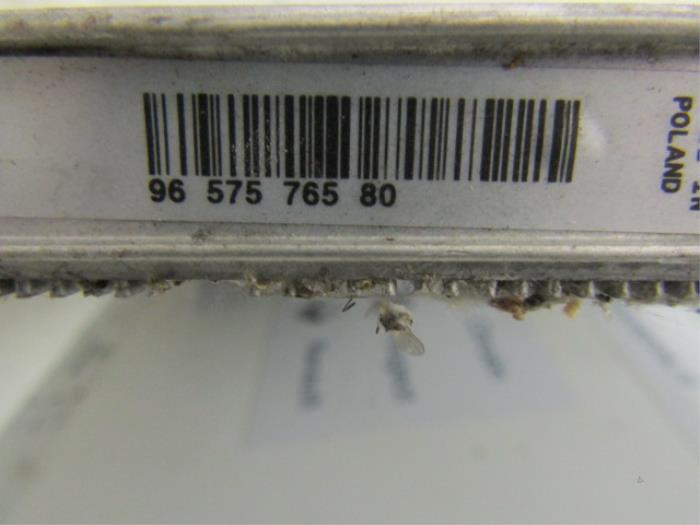 Radiateur van een Peugeot 308 (4A/C) 1.4 VTI 16V 2008