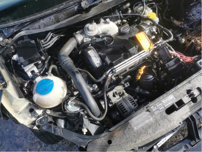 Motor van een Volkswagen Polo IV (9N1/2/3) 1.4 TDI 70 2006