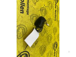 Gebruikte Antenne Renault Zoé (AG) R110 Prijs € 35,00 Margeregeling aangeboden door de Nollen autorecycling