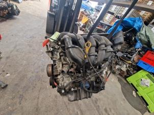 Gebruikte Motor Ford Fusion 1.6 16V Prijs € 300,00 Margeregeling aangeboden door de Nollen autorecycling