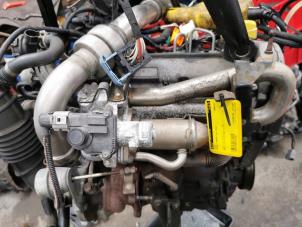 Gebruikte Motor Renault Kangoo Express (FW) 1.5 dCi 85 Prijs € 450,00 Margeregeling aangeboden door de Nollen autorecycling
