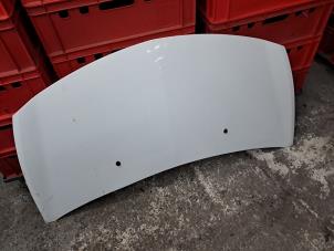 Gebruikte Motorkap Renault Clio III (BR/CR) 1.2 16V 75 Prijs € 75,00 Margeregeling aangeboden door de Nollen autorecycling