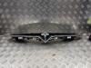 Tesla Model S P100D Grille