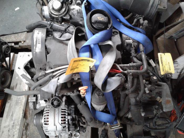 Gebruikte Motor Volkswagen Polo IV (9N1/2/3) 1.4 TDI 75 Prijs € 450,00 Margeregeling aangeboden door autodemontage denollen