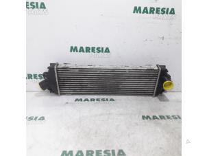 Gebruikte Intercooler Renault Trafic New (FL) 2.0 dCi 16V 115 Prijs € 25,00 Margeregeling aangeboden door Maresia Parts