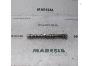 Gebruikte Nokkenas Fiat Punto Evo (199) 1.3 JTD Multijet 85 16V Euro 5 Prijs € 75,00 Margeregeling aangeboden door Maresia Parts