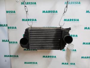 Gebruikte Intercooler Fiat Stilo (192A/B) 1.9 JTD 115 Prijs € 50,00 Margeregeling aangeboden door Maresia Parts
