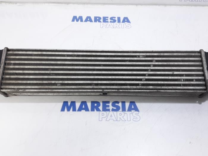 Gebruikte Intercooler Fiat Doblo Cargo (263) 1.3 MJ 16V DPF Euro 5 Prijs € 42,35 Inclusief btw aangeboden door Maresia Parts