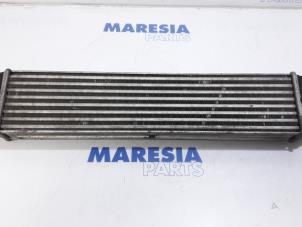 Gebruikte Intercooler Fiat Doblo Cargo (263) 1.3 MJ 16V DPF Euro 5 Prijs € 42,35 Inclusief btw aangeboden door Maresia Parts