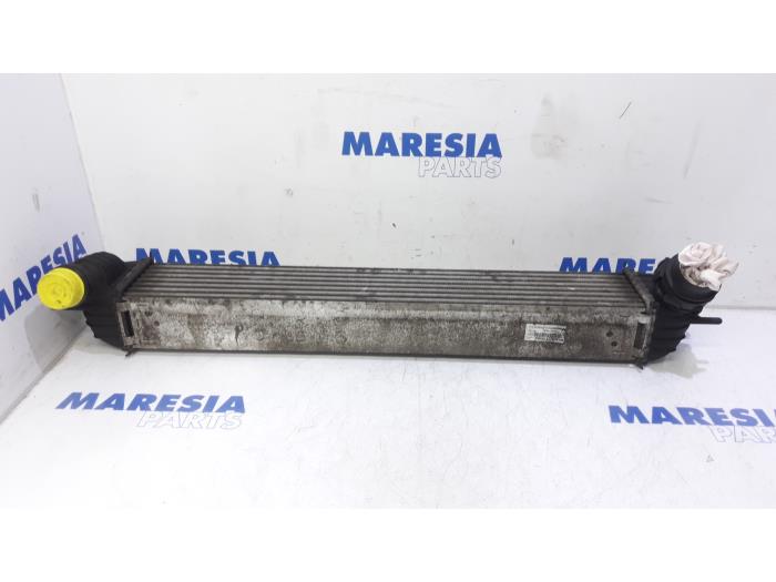 Gebruikte Intercooler Renault Laguna III (BT) 1.5 dCi 110 Prijs € 35,00 Margeregeling aangeboden door Maresia Parts