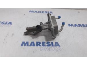 Gebruikte Oliekoeler Renault Koleos I 2.5 16V Prijs € 105,00 Margeregeling aangeboden door Maresia Parts