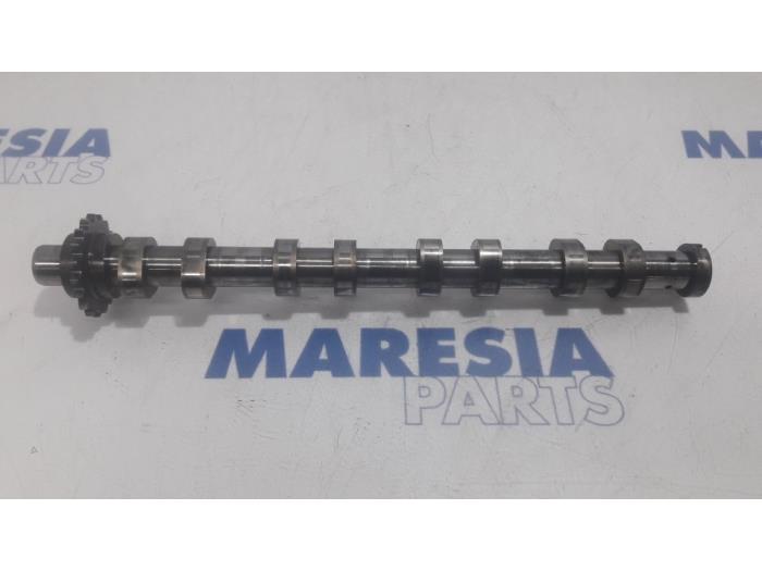 Gebruikte Nokkenas Peugeot 207/207+ (WA/WC/WM) 1.6 HDi 16V Prijs € 75,00 Margeregeling aangeboden door Maresia Parts
