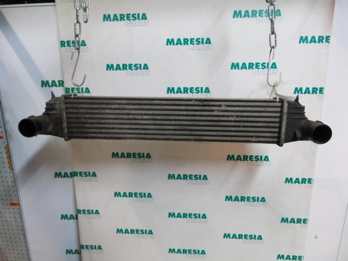 Gebruikte Intercooler Lancia Thesis (841) 2.4 JTD 20V Autom. Prijs € 50,00 Margeregeling aangeboden door Maresia Parts
