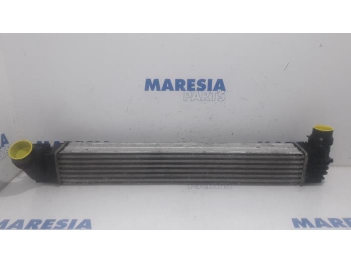 Gebruikte Intercooler Renault Megane III Grandtour (KZ) 1.5 dCi 110 Prijs € 40,00 Margeregeling aangeboden door Maresia Parts