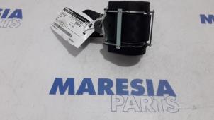 Gebruikte Veiligheidsgordel midden-achter Peugeot 508 SW (8E/8U) 1.6 HDiF 16V Prijs € 35,00 Margeregeling aangeboden door Maresia Parts