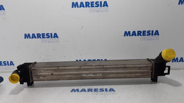 Gebruikte Intercooler Renault Scénic III (JZ) 1.2 16V TCe 130 Prijs € 40,00 Margeregeling aangeboden door Maresia Parts