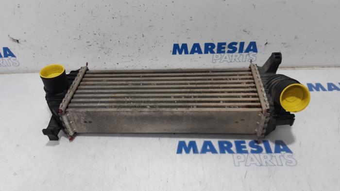 Gebruikte Intercooler Renault Kangoo Express (FW) 1.5 dCi 85 Prijs € 54,45 Inclusief btw aangeboden door Maresia Parts