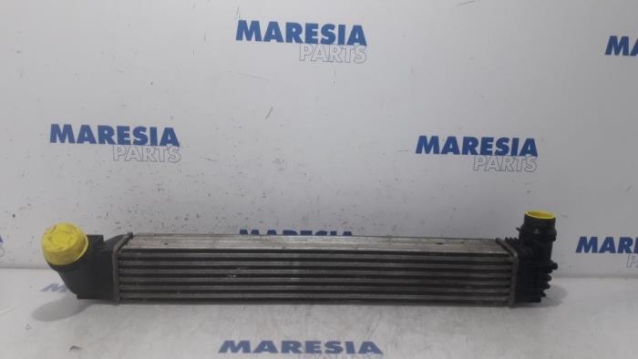 Gebruikte Intercooler Renault Megane III Grandtour (KZ) 1.5 dCi 95 Prijs € 40,00 Margeregeling aangeboden door Maresia Parts