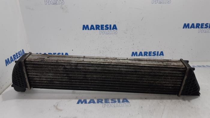 Gebruikte Intercooler Renault Espace (JK) 2.0 dCi 16V 175 FAP Prijs € 50,00 Margeregeling aangeboden door Maresia Parts