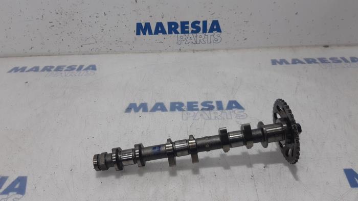 Gebruikte Nokkenas Peugeot 107 1.0 12V Prijs € 75,00 Margeregeling aangeboden door Maresia Parts