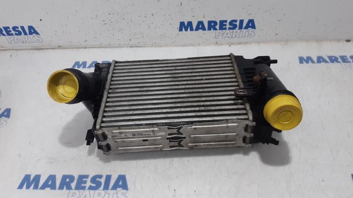 Gebruikte Intercooler Renault Espace (RFCJ) 1.6 Energy dCi 160 Prijs € 80,00 Margeregeling aangeboden door Maresia Parts