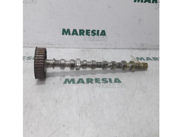 Gebruikte Nokkenas Renault Grand Scénic II (JM) 1.6 16V Prijs € 131,25 Margeregeling aangeboden door Maresia Parts