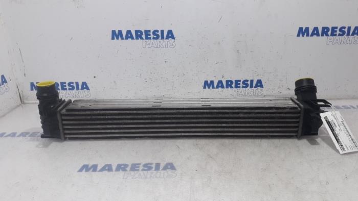 Gebruikte Intercooler Renault Megane III Berline (BZ) 1.4 16V TCe 130 Prijs € 30,00 Margeregeling aangeboden door Maresia Parts