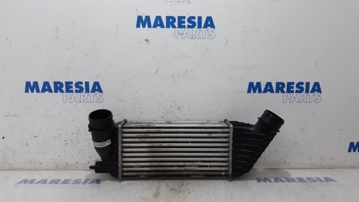 Gebruikte Intercooler Fiat Scudo (270) 2.0 D Multijet Prijs € 60,50 Inclusief btw aangeboden door Maresia Parts