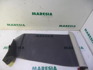 Gebruikte Rolgordijn achter Citroen C4 Picasso (UD/UE/UF) 2.0 16V Autom. Prijs € 25,00 Margeregeling aangeboden door Maresia Parts
