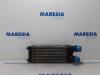Intercooler van een Peugeot Partner (GC/GF/GG/GJ/GK), 2008 / 2018 1.6 HDI 75 16V, Bestel, Diesel, 1.560cc, 55kW (75pk), FWD, DV6BUTED4; 9HT, 2008-04 / 2018-12, GC9HT; GF9HT; 7A9HT; 7B9HT; 7D9HT 2008